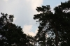 pinksteren046