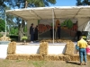 vanalles2008