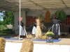 vanalles2008